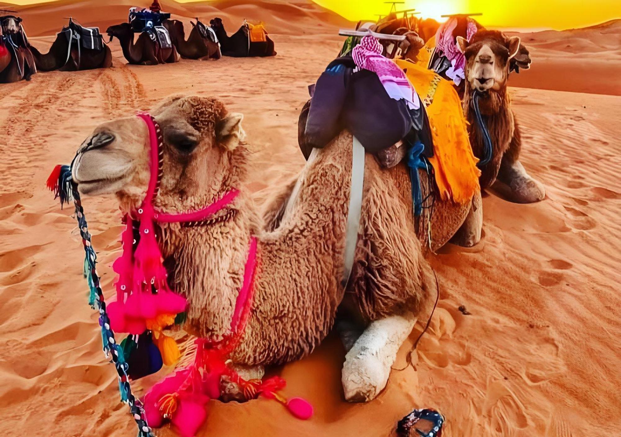 Top Desert Luxury Camp เมอร์ซูกา ภายนอก รูปภาพ